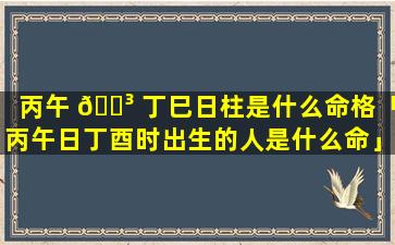 丙午 🌳 丁巳日柱是什么命格「丙午日丁酉时出生的人是什么命」